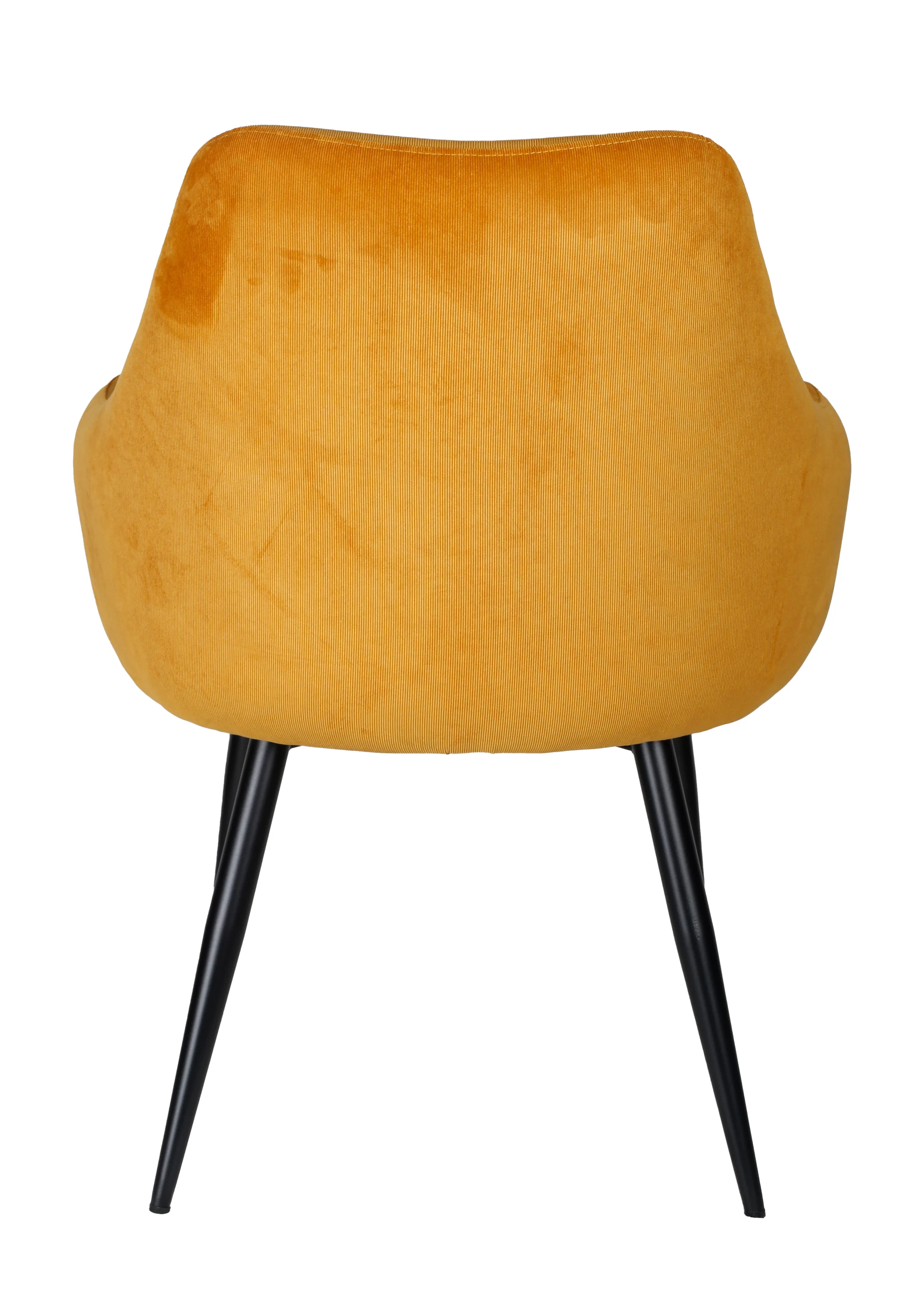 Miniatuur 5